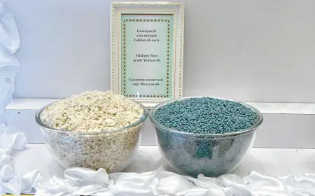 Gowaça tohumçylygynyň ähmiýeti: ýokary hasyl we hil üçin ylmy esaslar möhüm