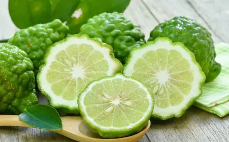 FRI: экстракт листьев бергамота защищает от ожирения печени