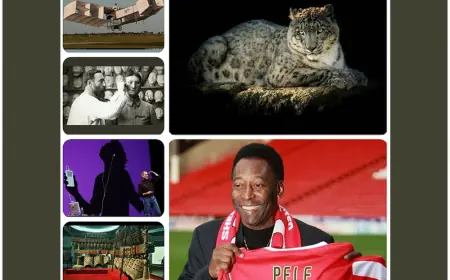 23-nji oktýabr: Amulda gyzykly maglumatlar