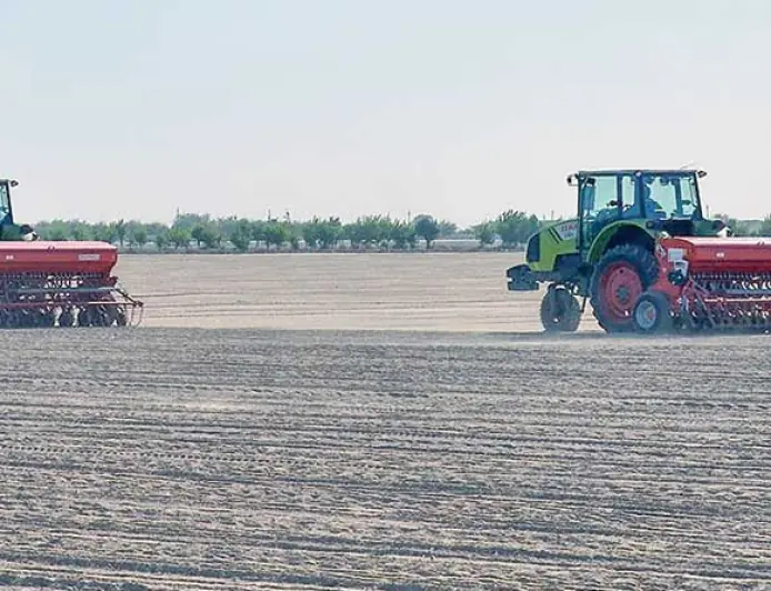 В Керкинском этрапе широко развернулась посевная кампания пшеницы