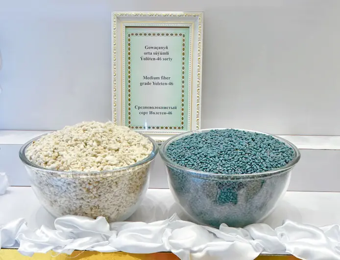 Gowaça tohumçylygynyň ähmiýeti: ýokary hasyl we hil üçin ylmy esaslar möhüm