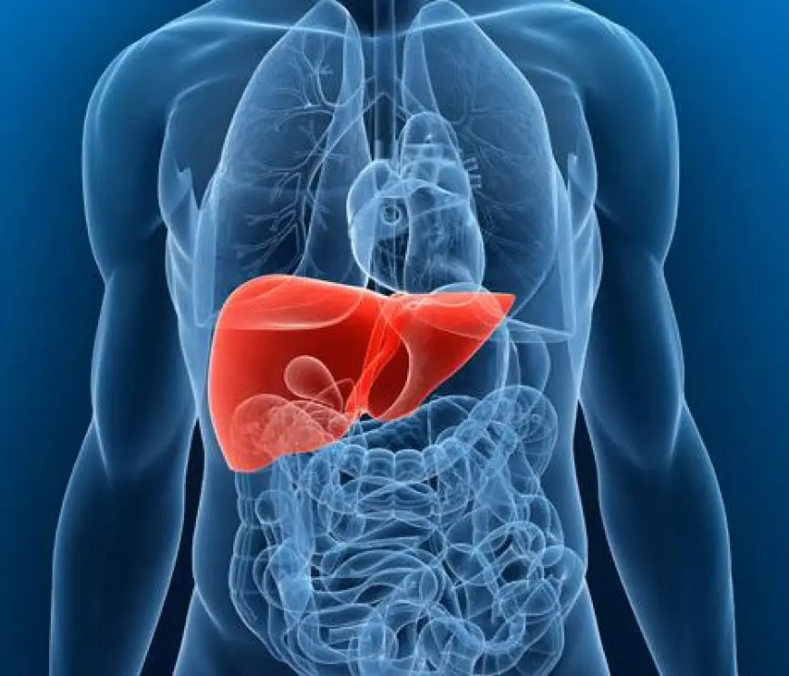 Bagyrdaky howply keseli bejermek üçin täze derman taýýarlanyldy