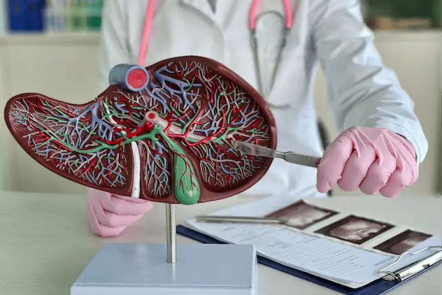 Представлен первый отчет об успешной пересадке печени от генетически модифицированной свиньи человеку