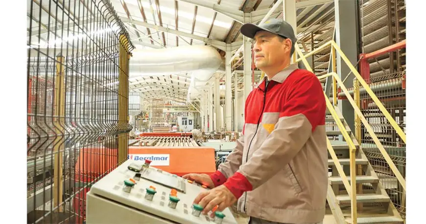 Преимущества предприятия по производству керамических декоративных изделий в провинции Лебап