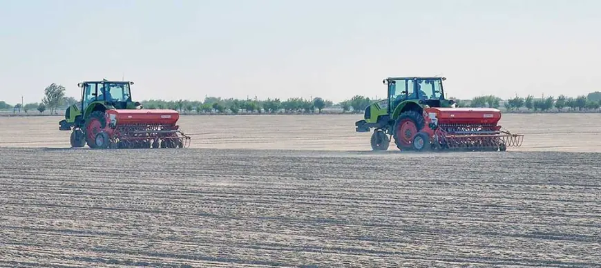 В Керкинском этрапе широко развернулась посевная кампания пшеницы