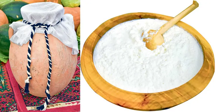 Düýe çaly — bedene güýç, jan saglygyna şypa