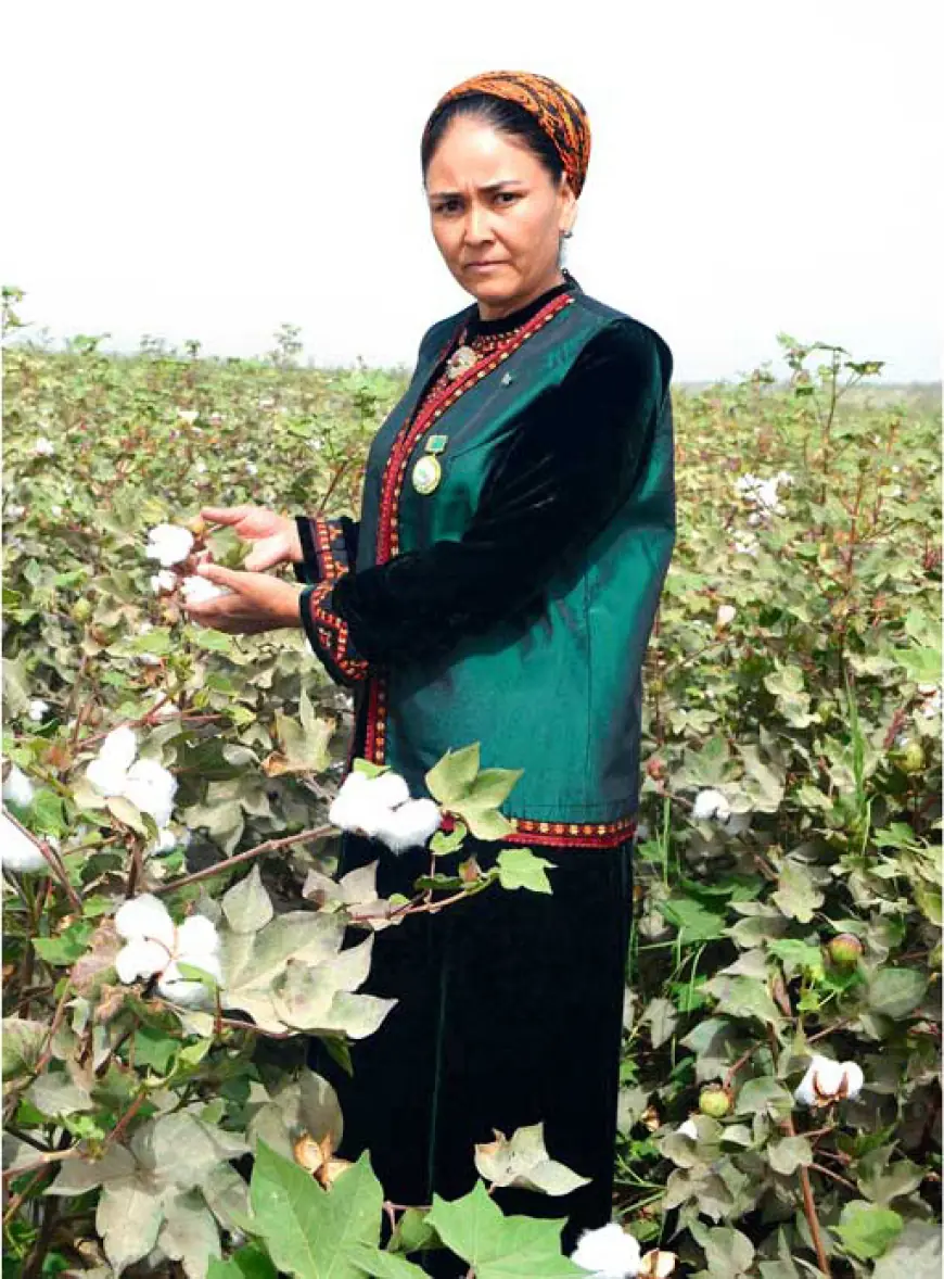 Akjagülüň zähmet ýoly — ýürege we zähmete esaslanan üstünlikleriň taryhy