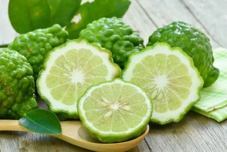 FRI: Bergamot leaf extract protects against liver obesity