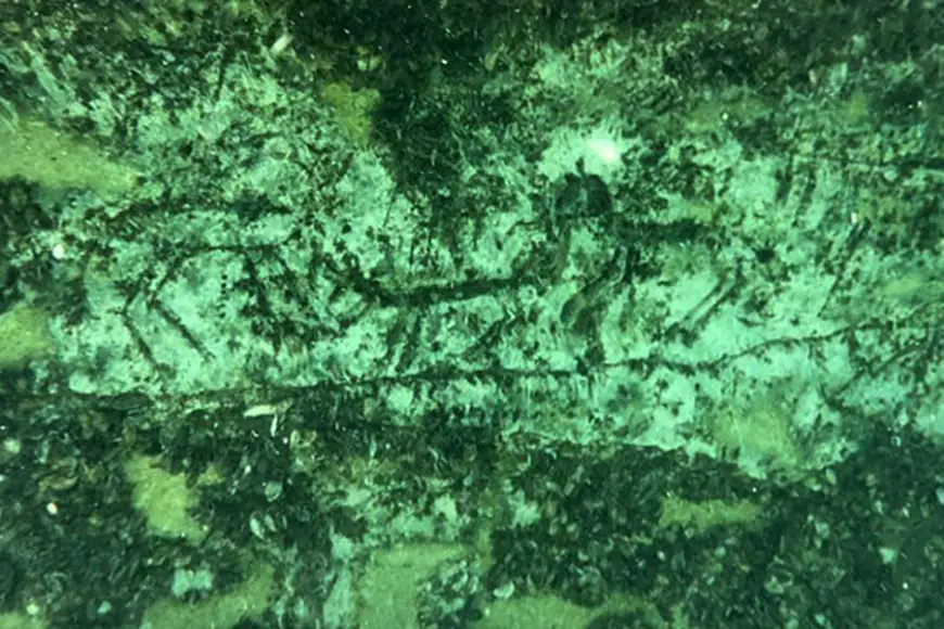 Ancient Rock Engravings Found Underwater in Turkey, Dating Back 12,000 Years