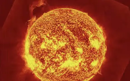 К Земле приближается «переполненная энергией» активная область Солнца