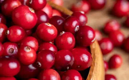 Учёные выяснили, как горькие продукты улучшают работу мозга