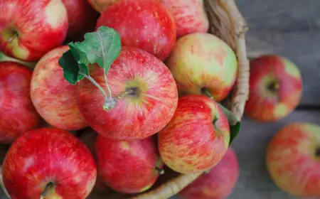 Назван растительный компонент, замедляющий развитие возрастных болезней