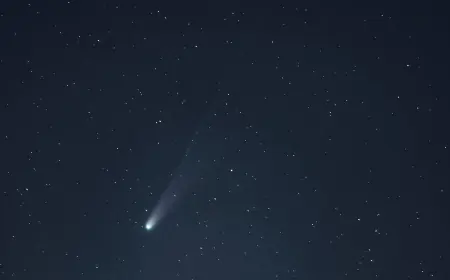 Американский физик прокомментировал версию об инопланетном происхождении 3I/ATLAS