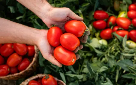 Назван продукт, снижающий риск развития аллергии