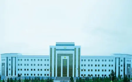 На пути к высшему военному образованию: правила и требования поступления в Институт пограничной службы