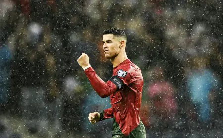 Dünýä sportynda iň ýokary aýlykly türgenler belli boldy