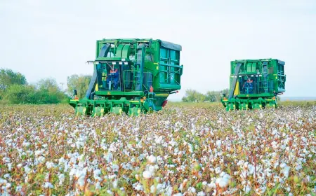 Fertile Land Yields: Cotton Harvest in Lebap Continues Successfully