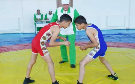 Dänev ilçesinde genç güreşçiler arasında serbest stil güreş turnuvası düzenlendi