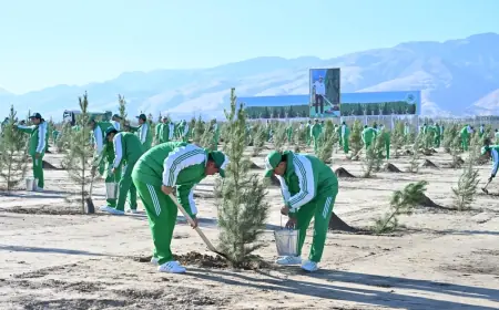 Türkmenistanyň Prezidenti Serdar Berdimuhamedow ählihalk bag ekmek dabarasyna gatnaşdy