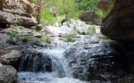 Köýtendag — janly muzeý