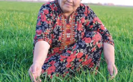 Ýürek meýdany küýseýär