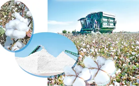 Daýhan zähmetiniň Hormatlanan nusgasy