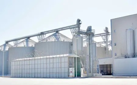 Milli Baýramçylyga Mynasyp Zähmet Üstünlikleri