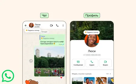 WhatsApp täze “Maglumat” bölümine üýtgeşme girizdi