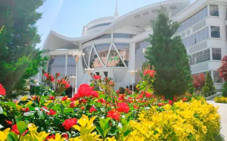 Fitomineral bejeriş geli, türkmen alymlarynyň täze işläp taýýarlamasydyr