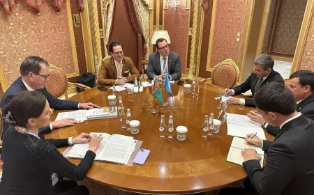 UNIDO Türkmenistanda ekologiýa taýdan arassa önümçilikleri döretmekde goldaw bermäge taýýar