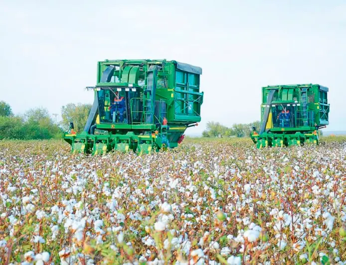 Saxovatli Tuproq: Lebapda Paxta Hosili Muvaffaqiyatli Davom Etmoqda
