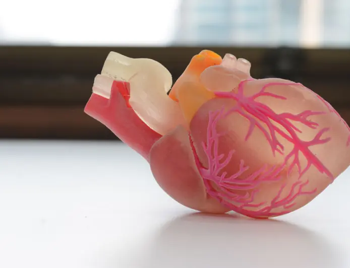 Amerikaly alymlar ýürek infarktdan soň ýüregi dikeltmäge mümkinçilik berýän täze “plastyr” döretdiler