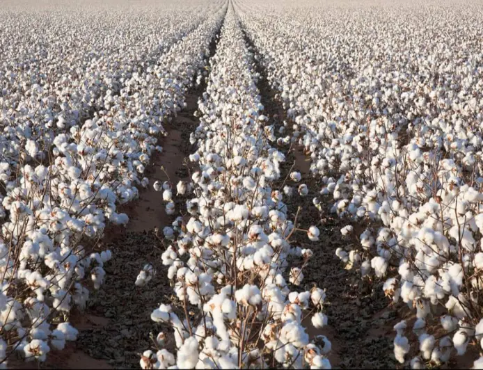 Baymyrat Söýünov — mehnatsevarlik va muvaffaqiyat timsoli