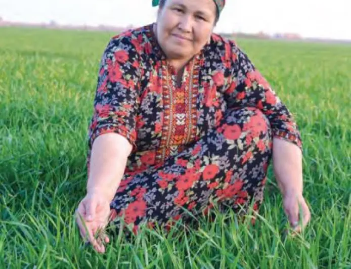 Ýürek meýdany küýseýär