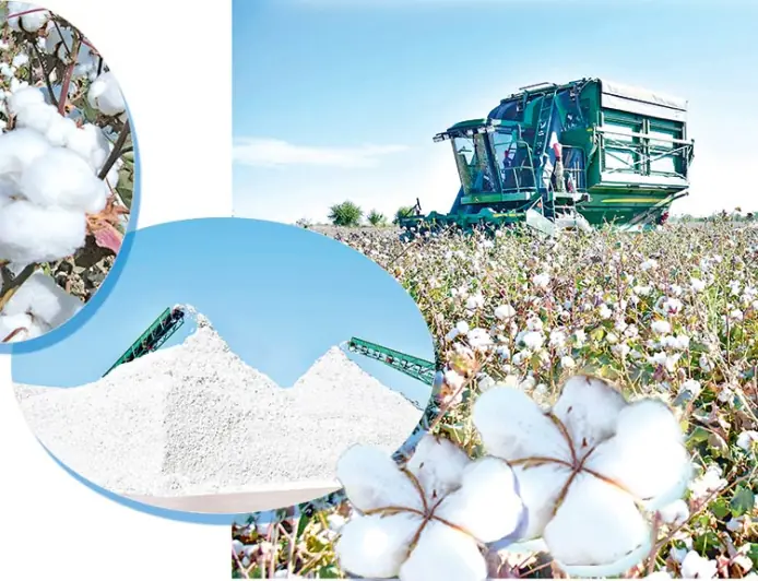 Daýhan zähmetiniň Hormatlanan nusgasy