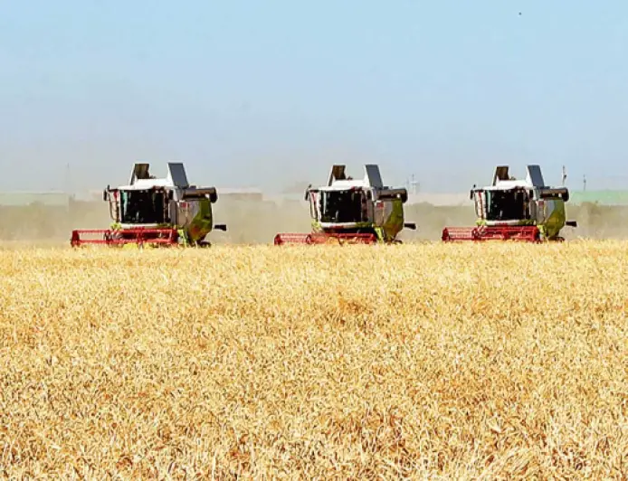 Oba hojalygy Gazagystan türkmen bazaryna gazak bugdaýynyň ekspotyny giňeltmegi meýilleşdirýär