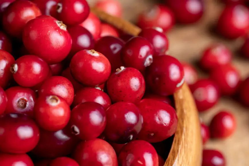 Учёные выяснили, как горькие продукты улучшают работу мозга