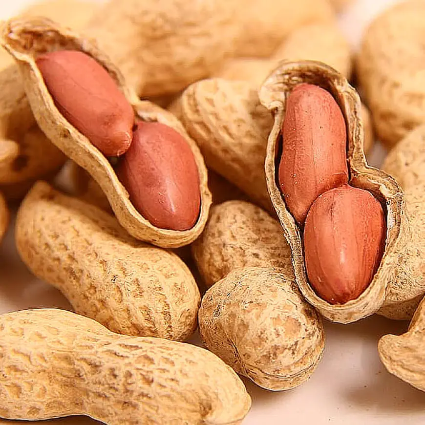 Roasted peanuts improve brain blood flow and memory