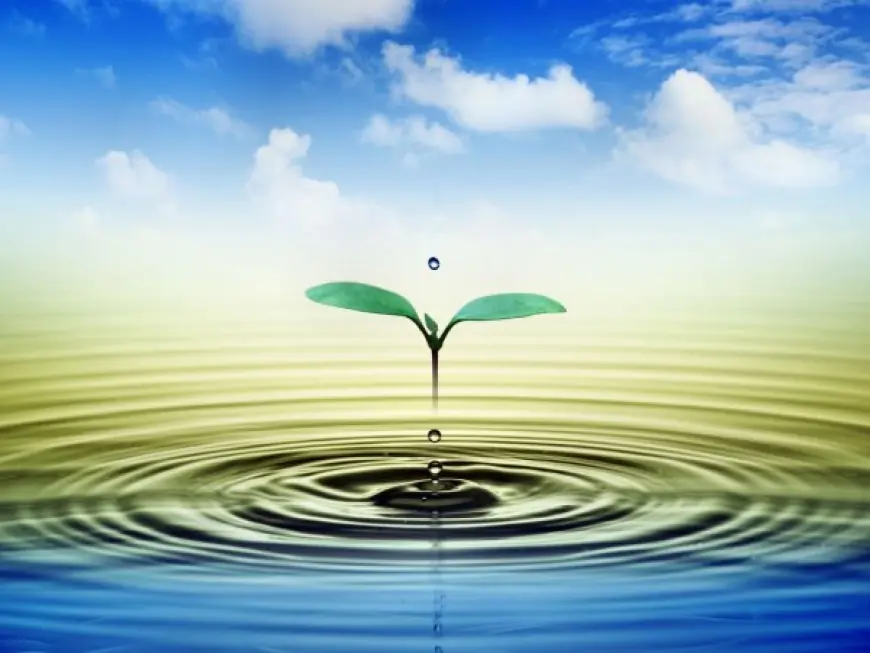 Gyrgyzystan we Özbegistan suw serişdeleri boýunça hyzmatdaşlygy berkidýärler