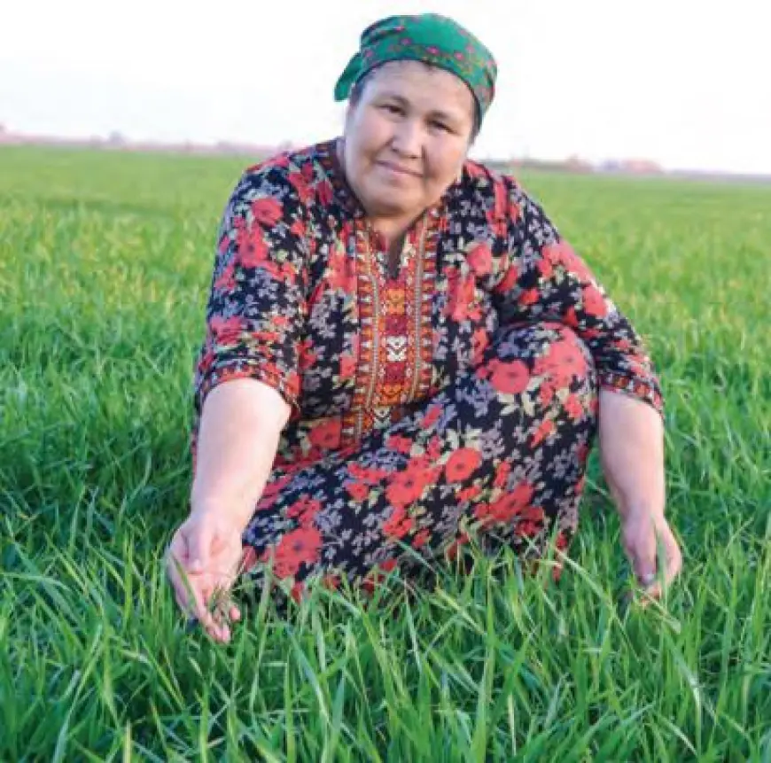 Ýürek meýdany küýseýär