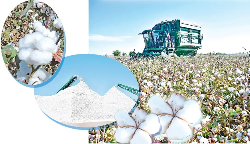 Daýhan zähmetiniň Hormatlanan nusgasy