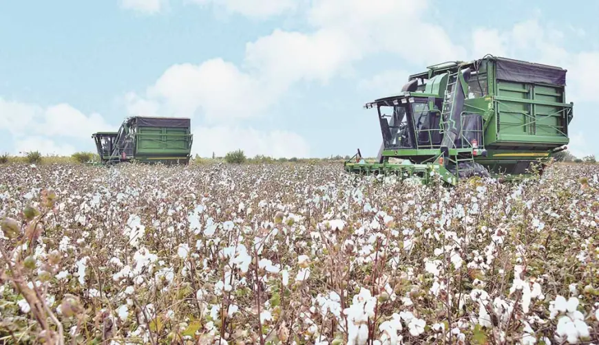 Tejribeli daýhan Rozykul Hezzekow: «Ýylyň-ýylyna zähmetiň hasyly»