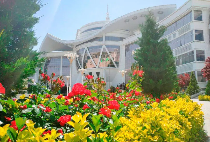 Fitomineral bejeriş geli, türkmen alymlarynyň täze işläp taýýarlamasydyr