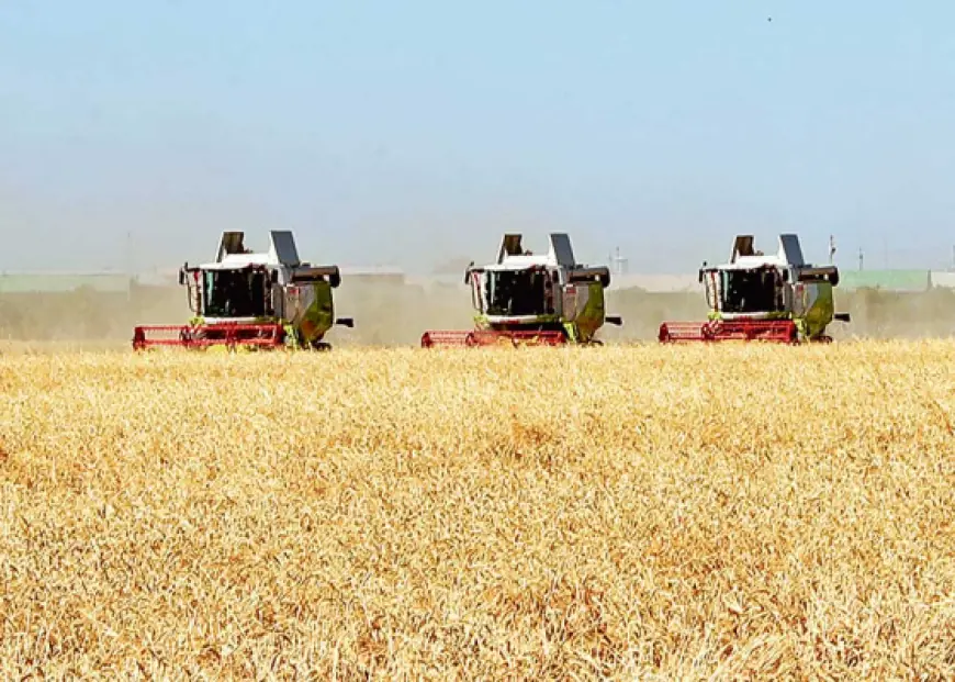 Oba hojalygy Gazagystan türkmen bazaryna gazak bugdaýynyň ekspotyny giňeltmegi meýilleşdirýär
