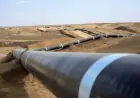 Turkmenistan Announces Tender for Supply of Materials for the TAPI Gas Pipeline
