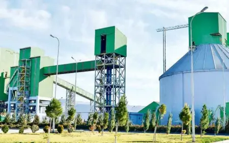 Sement ishlab chiqarish jadallik bilan oshmoqda