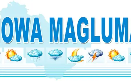 Haftalik ob-havo ma’lumoti: yog‘ingarchilik kutilmoqda