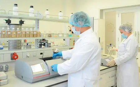 Türkmen alymlary çölleşmä garşy biotehnologiki material işläp taýýarladylar