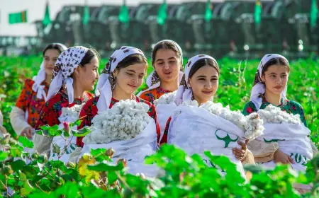 Turkmenistan and Kyrgyzstan Explore Cotton Supply Mechanism