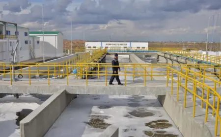 Türkmenistan ýapon kompaniýalaryna suw arassalaýjy desgalar boýunça hyzmatdaşlyk teklip edýär